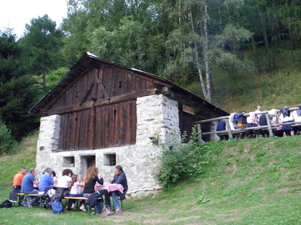 Chalet Alpenrose Bio Wellness Naturhotel Cogolo Bagian luar foto