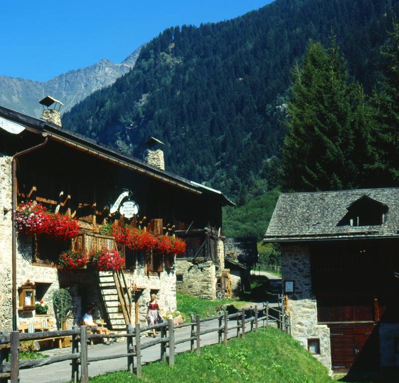 Chalet Alpenrose Bio Wellness Naturhotel Cogolo Bagian luar foto