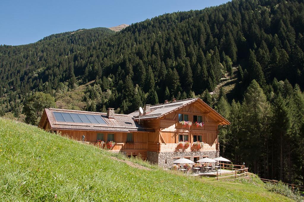 Chalet Alpenrose Bio Wellness Naturhotel Cogolo Bagian luar foto
