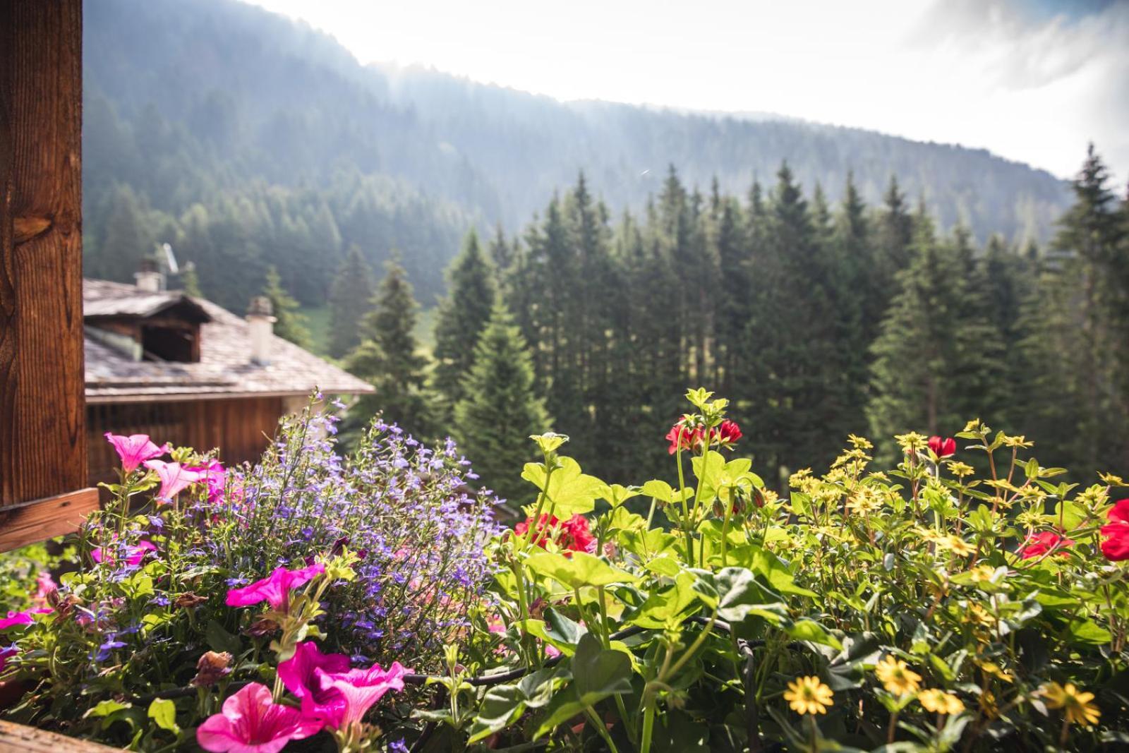 Chalet Alpenrose Bio Wellness Naturhotel Cogolo Bagian luar foto
