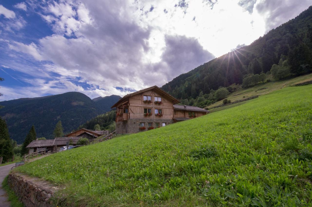 Chalet Alpenrose Bio Wellness Naturhotel Cogolo Bagian luar foto